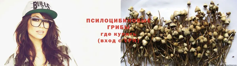 Псилоцибиновые грибы Magic Shrooms  Нефтеюганск 